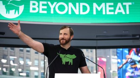 One-time penny stock Beyond Meat soars after addition to meme ETF, jumps 90% on Tuesday