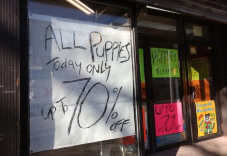 The war on pet stores and more: Letters The war on pet stores and more: Letters
